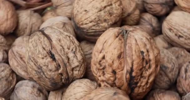 Large Pile Walnuts Different Sides — Stock Video