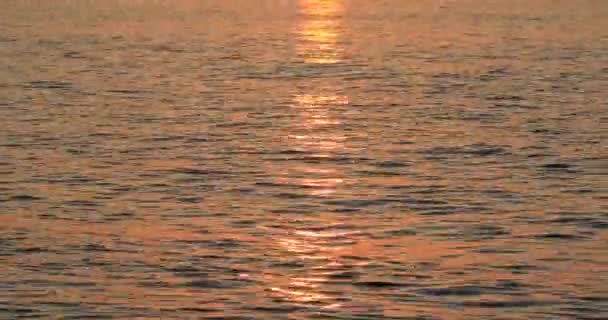 太陽の下の海水は — ストック動画