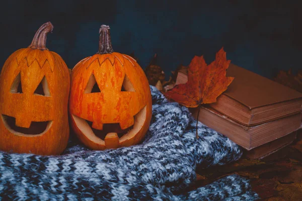Halloween Tök Érezd Jól Magad Stúdióban — Stock Fotó