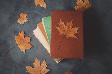 sonbahar yapraklarıyla çizim yapmak için kitaplar, defterler, kalemler