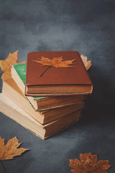 books, notebook, pencils for drawing with autumn leaves