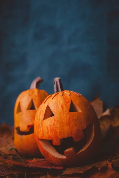 Halloween Tök Érezd Jól Magad Stúdióban — Stock Fotó