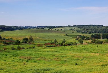 Tarlalı güzel bahar manzarası