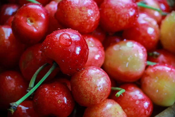 Delicious Juicy Cherries Drops Water — Stock Photo, Image