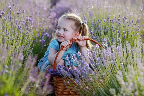 Beautiful Little Girl Lavender Field — Stock Photo, Image