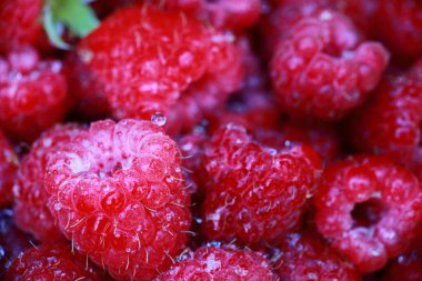 Ağız sulandıran taze ahududular su damlacıklarında