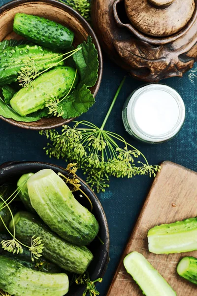 Deliciosos Pepinos Conserva Frescos — Fotografia de Stock