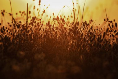 Güzel bir gökyüzü olan muhteşem bir arazi.