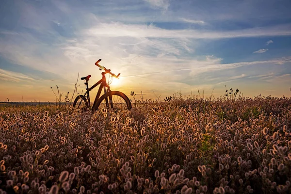 Fietsen Door Velden Weiden — Stockfoto