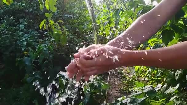 手を洗うと水が飛び散る — ストック動画
