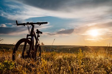 çayırlarda ve çayırlarda dönerek
