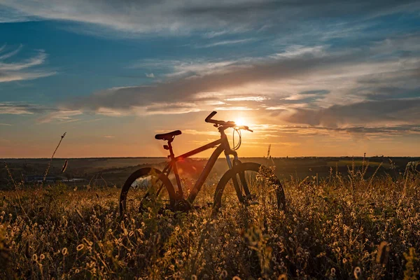 Езда Велосипеде Полям Лугам — стоковое фото