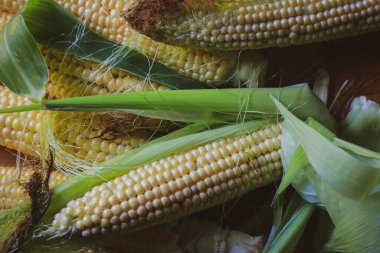 Masada mısır salıncakları