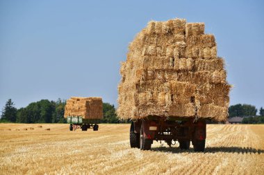 Straw bales on trailers in a field of North Rhine-Westphalia, Germany clipart