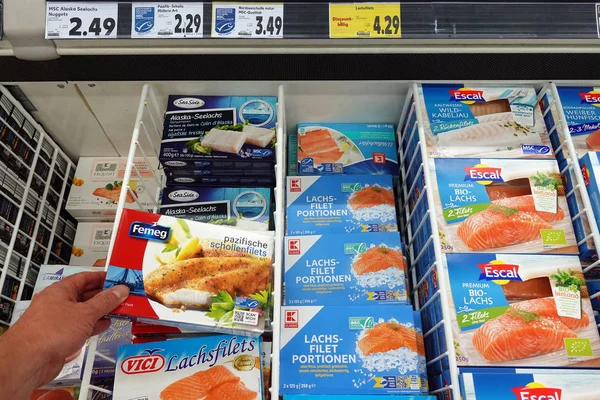 Deutschland August 2019 Tiefkühltruhe Gefüllt Mit Verpacktem Tiefkühlfisch Verschiedener Marken — Stockfoto