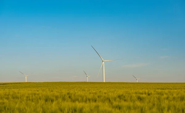 Wind Turbines Field — Stock Photo, Image