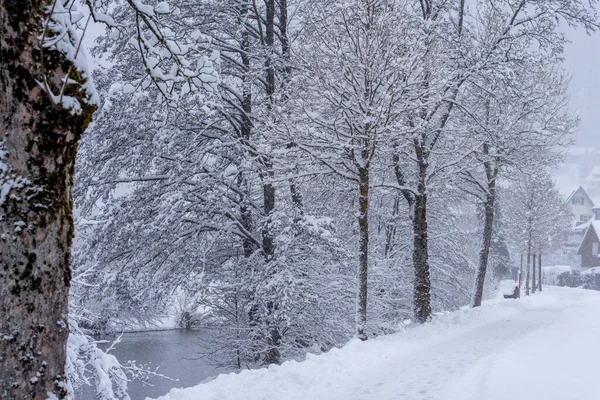 Paesaggio Innevato Della Foresta Nera Germania — Foto Stock