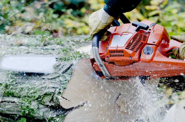 Umberjack Using Chainsaw — Stock Photo, Image