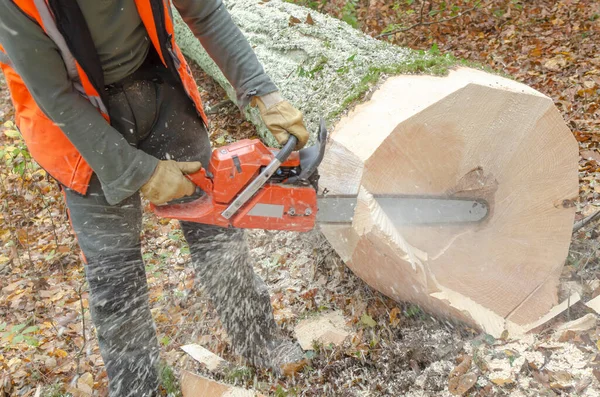 Lumberjack Using Chainsaw — Stock Photo, Image