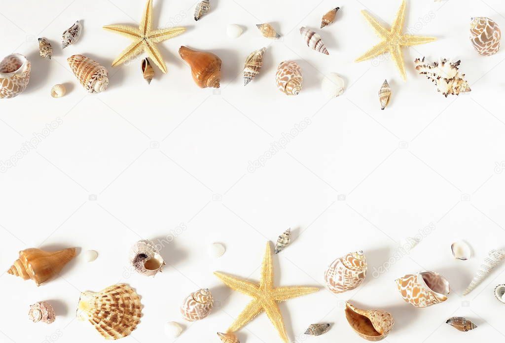 pattern frame of sea shells and stars on white background. flat lay, top view.copy space