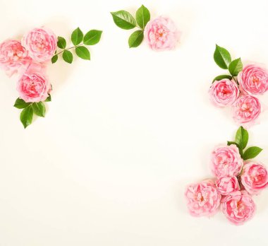 Soluk pembe gül çiçek çelenk çerçeve çiçek tomurcukları ve beyaz arka plan üzerinde bırakır. Düz yatıyordu, en iyi görünümü mockup.