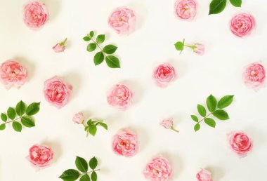 Soluk pembe gül çiçek çelenk çerçeve çiçek tomurcukları ve beyaz arka plan üzerinde bırakır. Düz yatıyordu, en iyi görünümü mockup.