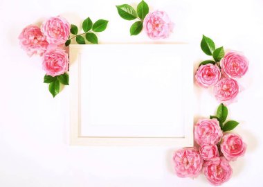 Soluk pembe gül çiçek çelenk çerçeve çiçek tomurcukları ve beyaz arka plan üzerinde bırakır. Düz yatıyordu, en iyi görünümü mockup.