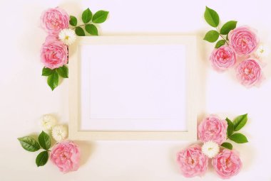 Soluk pembe gül çiçek çelenk çerçeve çiçek tomurcukları ve beyaz arka plan üzerinde bırakır. Düz yatıyordu, en iyi görünümü mockup.