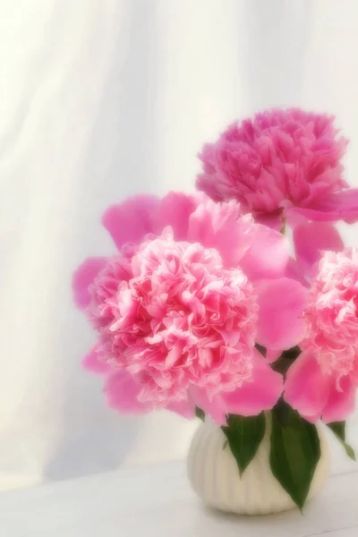 Цветы Background Blur Эффект Букета Красивых Розовых Пионов Вазе Белом — стоковое фото