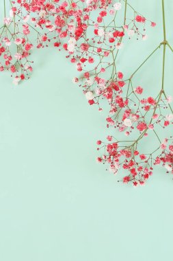 kırmızı-pembe çiçekler hypsophila buket. en az çiçek arka plan. üstten görünüm. kopya alanı