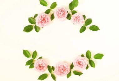 Taze gül çiçek tomurcukları ve beyaz arka plan üzerinde yaprak çerçeve çiçek. Düz yatıyordu, en iyi görünümü mockup.