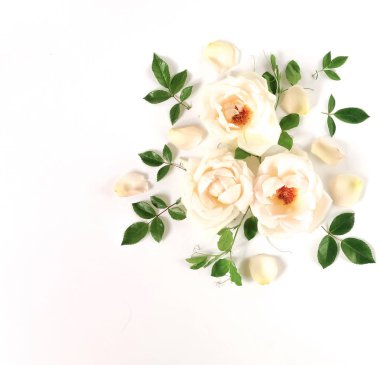 Taze gül çiçek tomurcukları ve beyaz arka plan üzerinde yaprak çerçeve çiçek. Düz yatıyordu, en iyi görünümü mockup.