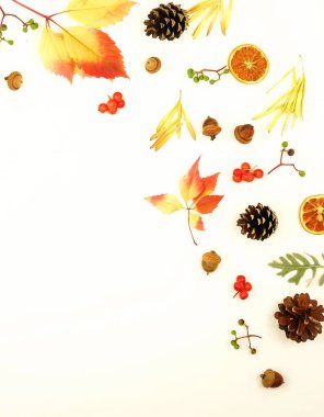 Sonbahar kompozisyon arka plan. Kare desen sonbahar ağaç yaprakları, koniler, meşe palamutları, beyaz zemin üzerine yaptı. Üstten görünüm. Uzay kopyalayın. Düz yatıyordu