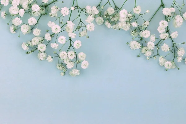 Fond Fleurs Fleurs Blanches Gypsophila Sur Fond Bleu Pâle Vue — Photo