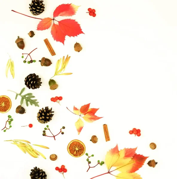 Jesienna Kompozycja Tło Wzorzec Ramki Wykonane Jesiennych Liści Drzewa Szyszki — Zdjęcie stockowe