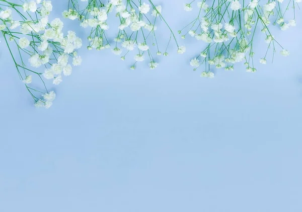Bloemen Achtergrond Witte Gypsophila Bloemen Een Bleke Blauwe Achtergrond Bovenaanzicht — Stockfoto