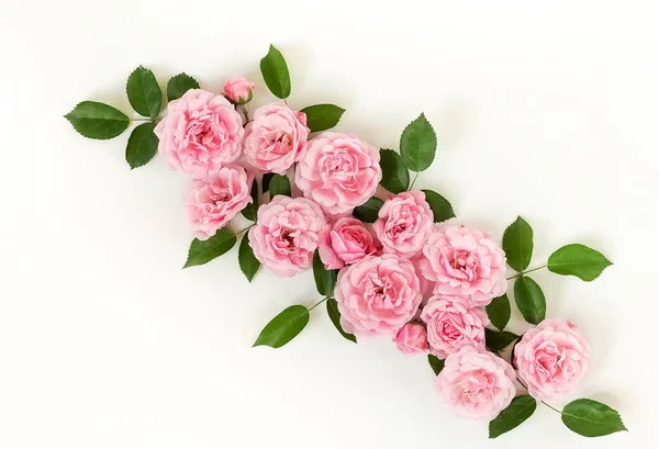 Kwiatowy Ramki Świeże Róże Pąki Kwiatowe Liście Białym Tle Widok — Zdjęcie stockowe