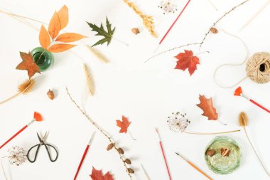 Sonbahar kompozisyon arka plan. Sanatçı ev ofis resepsiyon çalışma alanıyla sonbahar beyaz zemin üzerine bırakır. Düz yatıyordu, en iyi görünümü şablon yaratıcı en az sahte. Üstten görünüm. Kopya alanı