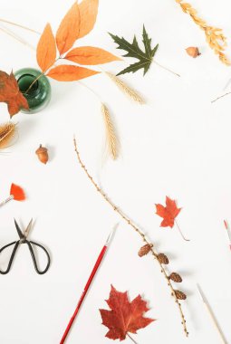 Sonbahar kompozisyon arka plan. Sanatçı ev ofis resepsiyon çalışma alanıyla sonbahar beyaz zemin üzerine bırakır. Düz yatıyordu, en iyi görünümü şablon yaratıcı en az sahte. Üstten görünüm. Kopya alanı