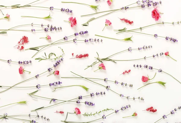 Virágmintás Levendula Vadvirágok Zöld Levelek Ágak Fehér Háttér Lapos Feküdt — Stock Fotó