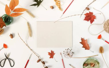 Sonbahar kompozisyon arka plan. Sanatçı ev ofis resepsiyon çalışma alanıyla sonbahar beyaz zemin üzerine bırakır. Düz yatıyordu, en iyi görünümü şablon yaratıcı en az sahte. Üstten görünüm. Kopya alanı