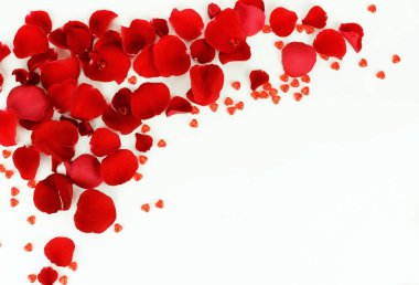 Çiçekler arka plan. kare desen beyaz zemin üzerine kırmızı gül yaprakları. üstten görünüm. kopya alanı