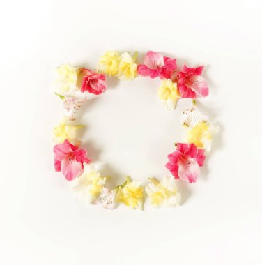 Kenarlık çerçeve beyaz zemin üzerine pembe ve sarı Glayöl yapılmış. Kılıç çiçeği, tatil tebrik kartı deseni. Düz yatıyordu, en iyi görünüm. Çiçekler arka plan. Çerçeve çiçek. Kopya alanı