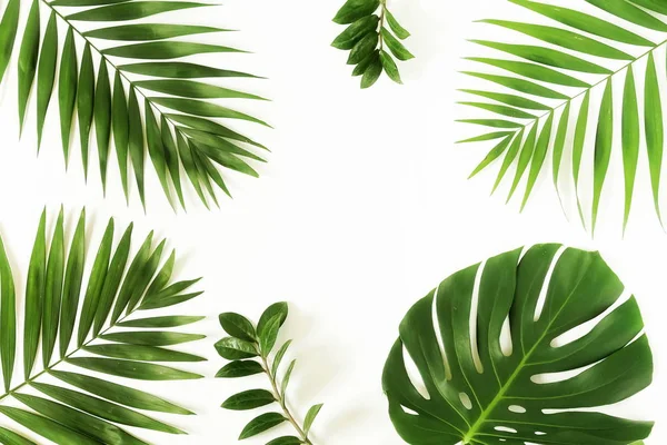 Green Palm Branches White Background Abstract Top View Copy Space — Stock Photo, Image