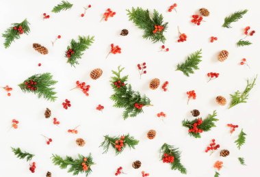 Sonbahar, kış, Noel desen arka plan. Kırmızı kartopu ve beyaz zemin üzerine yeşil mazı dalları