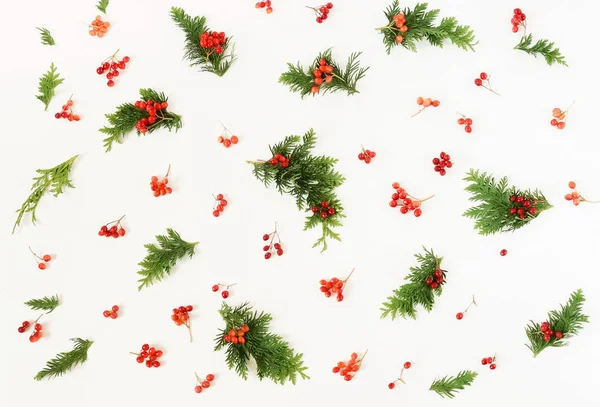 Sonbahar Kış Noel Desen Arka Plan Kırmızı Kartopu Beyaz Zemin — Stok fotoğraf