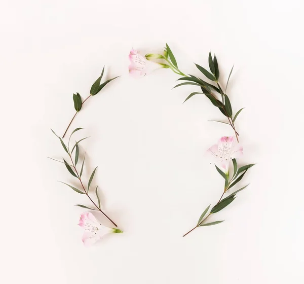 Grens Frame Krans Gemaakt Van Roze Bloemen Eucalyptus Takken Witte — Stockfoto