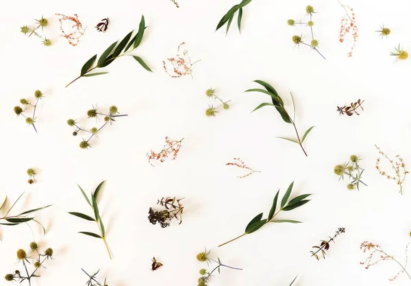 Virágok Összetétele Minta Készült Ágakat Eukaliptusz Sárga Rózsaszín Virágok Fehér — Stock Fotó