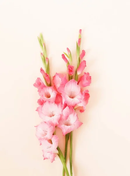 花のパステル カラーの背景 ベージュ色の背景に淡いピンクの Gladioluses グラジオラス 休日グリーティング カードのパターン フラット横たわっていた トップ ビュー — ストック写真