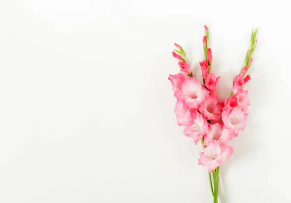 花のパステル カラーの背景 ベージュ色の背景に淡いピンクの Gladioluses グラジオラス 休日グリーティング カードのパターン フラット横たわっていた トップ ビュー — ストック写真
